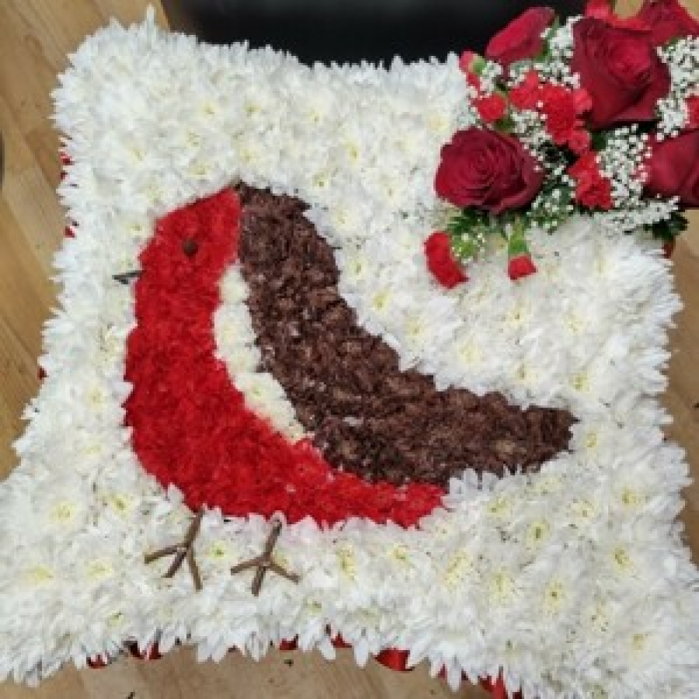 Robin cushion Product Image