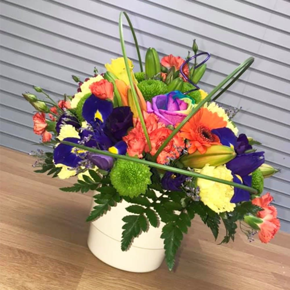 Colour Burst Product Image